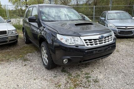 Subaru Forester Gebrauchtwagen