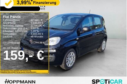 Fiat Panda Gebrauchtwagen
