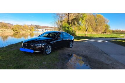Jaguar XF Gebrauchtwagen