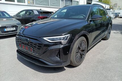 Audi Q8 e-tron Gebrauchtwagen