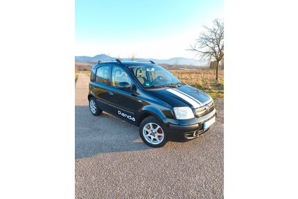 Fiat Panda Gebrauchtwagen