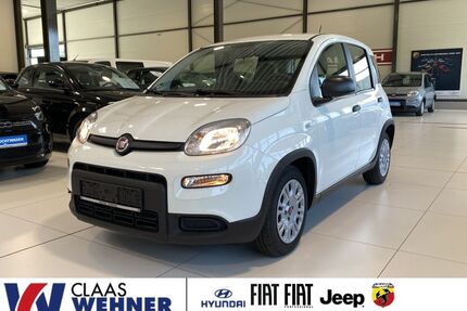 Fiat Panda Gebrauchtwagen