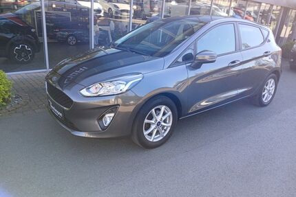 Ford Fiesta Gebrauchtwagen