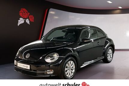 VW Beetle Gebrauchtwagen