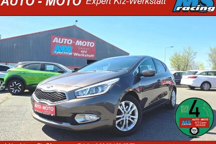 Kia ceed / Ceed Gebrauchtwagen