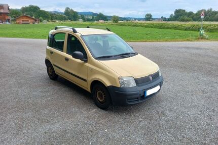 Fiat Panda Gebrauchtwagen