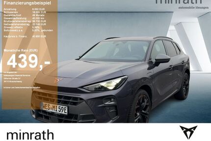 Cupra Terramar Gebrauchtwagen