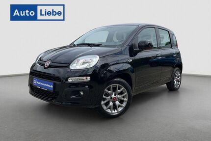 Fiat Panda Gebrauchtwagen