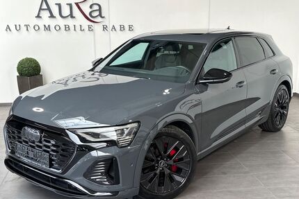 Audi Q8 e-tron Gebrauchtwagen