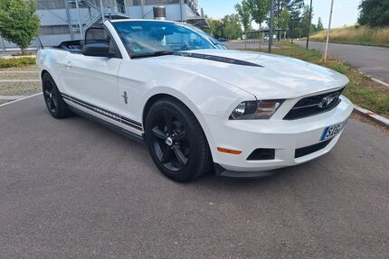 Ford Mustang Gebrauchtwagen