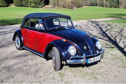 VW Käfer Gebrauchtwagen