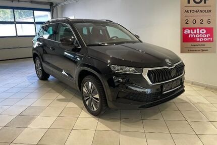 Skoda Karoq Gebrauchtwagen