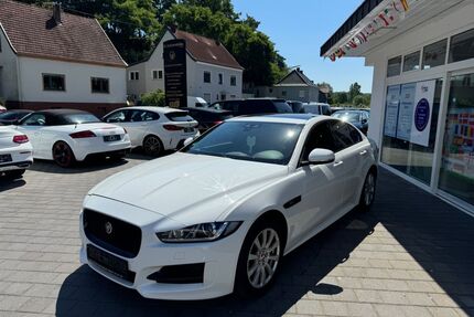 Jaguar XE Gebrauchtwagen