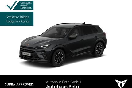 Cupra Terramar Gebrauchtwagen