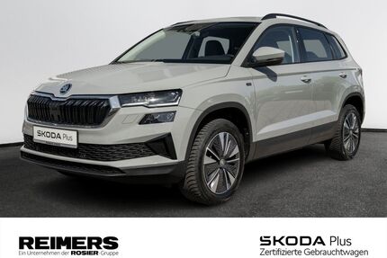 Skoda Karoq Gebrauchtwagen