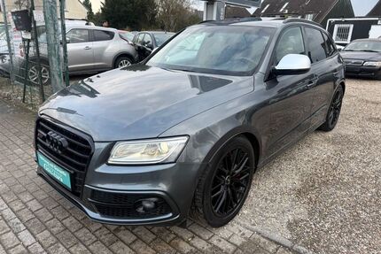 Audi SQ5 Gebrauchtwagen