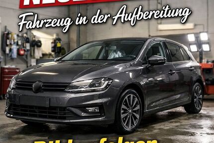 Renault Scenic Gebrauchtwagen