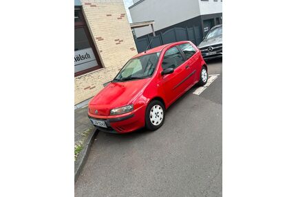 Fiat Punto Gebrauchtwagen