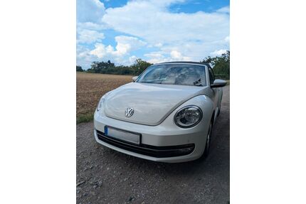VW Beetle Gebrauchtwagen