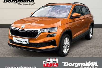 Skoda Karoq Gebrauchtwagen