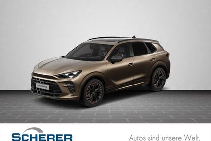 Cupra Terramar Gebrauchtwagen