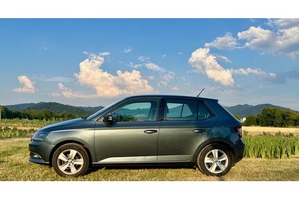 Skoda Fabia Gebrauchtwagen