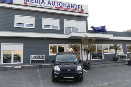 Fiat Panda Gebrauchtwagen