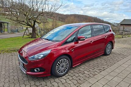 Ford S-Max Gebrauchtwagen