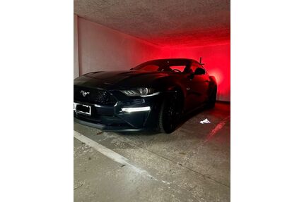 Ford Mustang Gebrauchtwagen