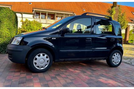 Fiat Panda Gebrauchtwagen