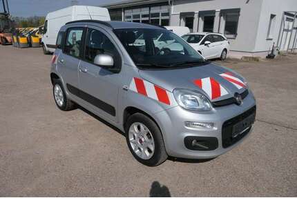 Fiat Panda Gebrauchtwagen