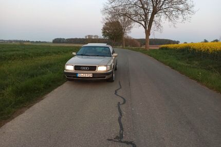 Audi 100 Gebrauchtwagen