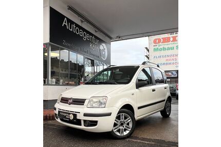 Fiat Panda Gebrauchtwagen