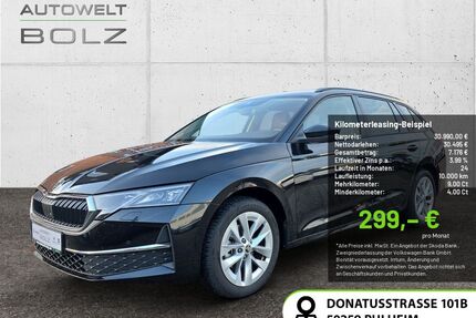 Skoda Octavia Gebrauchtwagen