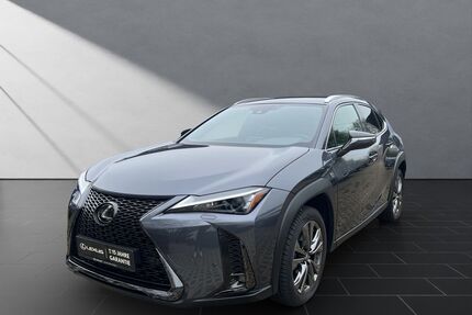 Lexus UX Gebrauchtwagen