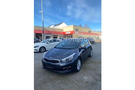 Kia ceed / Ceed Gebrauchtwagen
