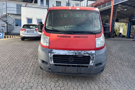 Fiat Ducato Gebrauchtwagen