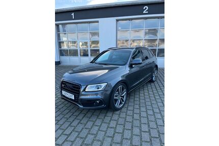 Audi SQ5 Gebrauchtwagen