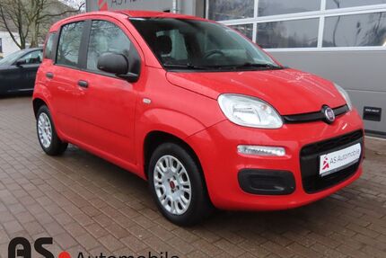 Fiat Panda Gebrauchtwagen