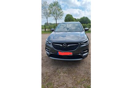 Opel Grandland (X) Gebrauchtwagen