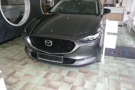 Mazda CX-30 Gebrauchtwagen