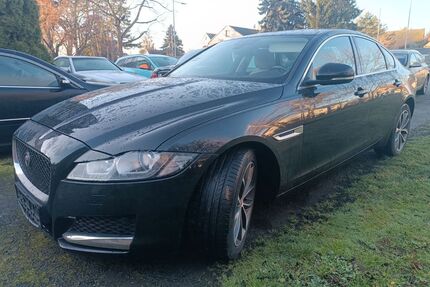 Jaguar XF Gebrauchtwagen