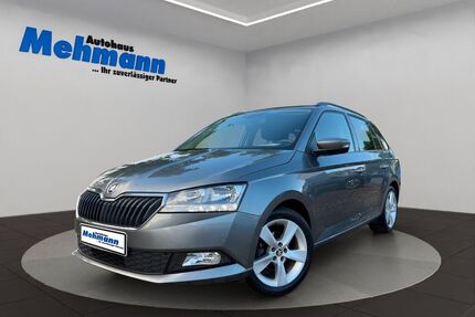 Skoda Fabia Gebrauchtwagen