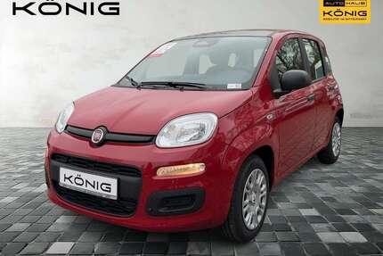Fiat Panda Gebrauchtwagen