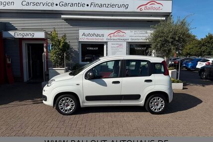 Fiat Panda Gebrauchtwagen