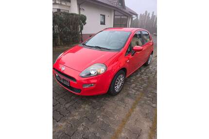 Fiat Punto Gebrauchtwagen