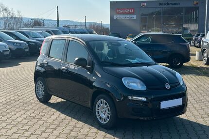 Fiat Panda Gebrauchtwagen