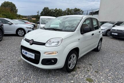 Fiat Panda Gebrauchtwagen
