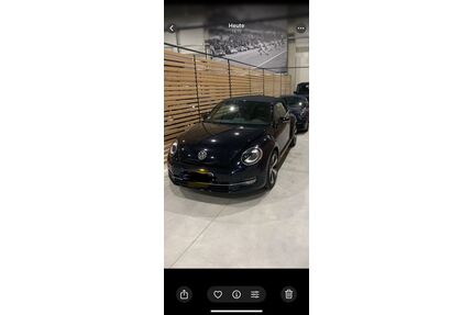 VW Beetle Gebrauchtwagen