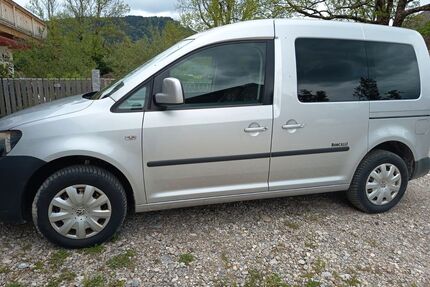 VW Caddy Gebrauchtwagen